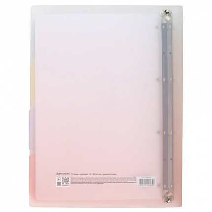 Тетрадь на кольцах БОЛЬШАЯ 305х235 мм А4, 120 л., пластик, с разделителями, BRAUBERG, Красный, 404626
