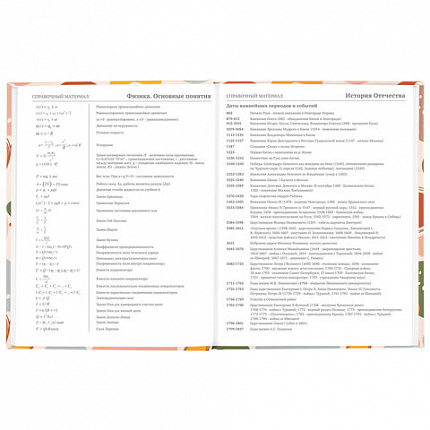 Дневник 5-11 класс 48 л., твердый, BRAUBERG, глянцевая ламинация, с подсказом, "Decor", 106403