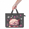 Папка на молнии с ручками BRAUBERG KIDS А4, 1 отделение, дополнительные карманы, пластик, "Кот-мурлыка", 274527