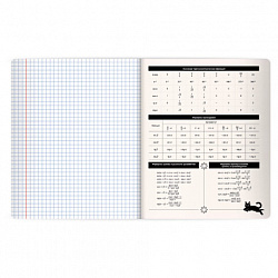 Тетрадь предметная КОТ-НЕПОСЕДА 48 л., пластиковая обложка, АЛГЕБРА, клетка, подсказ, BRAUBERG, 405527