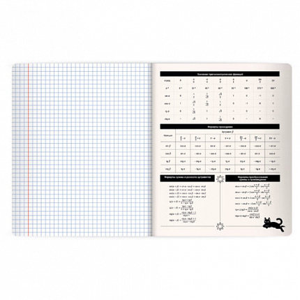 Тетрадь предметная КОТ-НЕПОСЕДА 48л, пластиковая обложка, АЛГЕБРА, клетка, подсказ, BRAUBERG, 405527