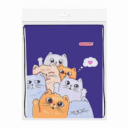 Мешок для обуви ПИФАГОР, 1 отделение, 42х34 см, "Cats greetings", 272382