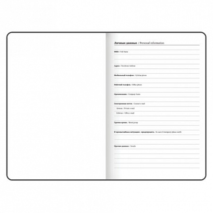 Ежедневник датированный 2026 с резинкой 145х203 мм, А5, BRAUBERG, твердый, "Безмятежность", 117336