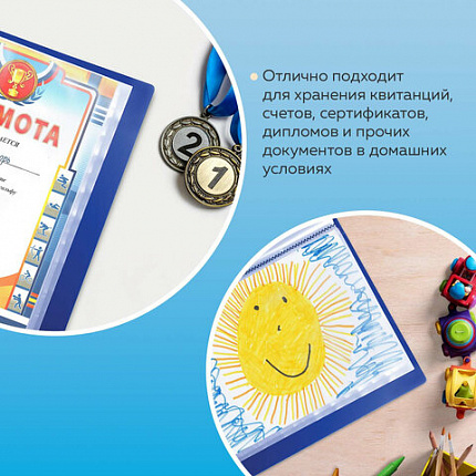 Папка 100 вкладышей BRAUBERG стандарт, синяя, 0,9 мм, 221609