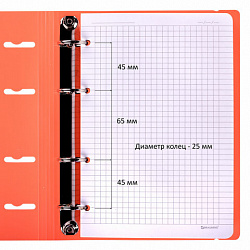 Тетрадь на кольцах А5 175х220 мм, 120 л., пластик, с резинкой, BRAUBERG, Коралловый, 404621