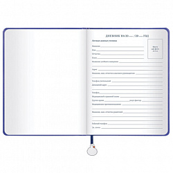 Дневник 1-11 класс 48 л., кожзам (твердая с поролоном), печать, ляссе с аппликацией, BRAUBERG, "Гуси", 107233