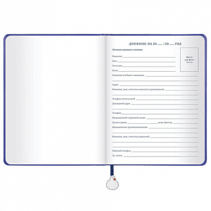 Дневник 1-11 класс 48 л., кожзам (твердая с поролоном), печать, ляссе с аппликацией, BRAUBERG, "Гуси", 107233