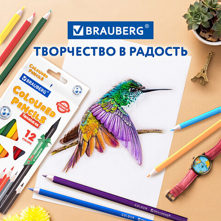 Карандаши цветные пластиковые, BRAUBERG PREMIUM 12 цветов + 1 чернографитный карандаш, трехгранный корпус, грифель 3 мм, 181936