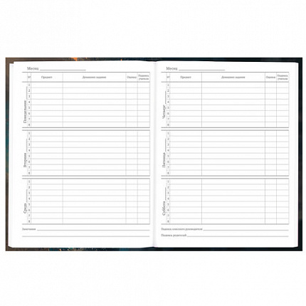 Дневник 5-11 класс 48 л., гибкая обложка, BRAUBERG, глянцевая ламинация, с подсказом, "Cat", 107181