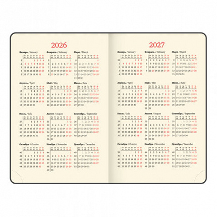 Ежедневник датированный 2026, МАЛЫЙ ФОРМАТ 100х150 мм, А6, BRAUBERG "Iguana", под кожу, черный, 117252