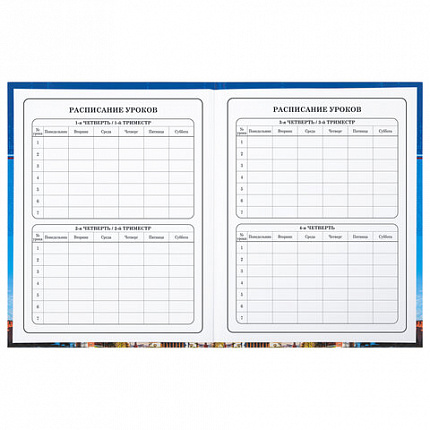 Дневник 1-4 класс 48 л., твердый, BRAUBERG, глянцевая ламинация, с подсказом, "Российский", 106832