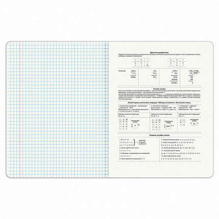 Тетрадь предметная DOG БОБИК 48 л., TWIN-лак, ИНФОРМАТИКА, клетка, подсказ, BRAUBERG, 404788