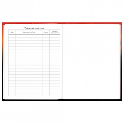 Дневник 5-11 класс 48 л., твердый, BRAUBERG, глянцевая ламинация, с подсказом, "Самурай", 107191