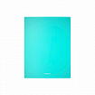 Папка на 4 кольцах ERICH KRAUSE "Diagonal Pastel", 24 мм, до 150 листов, ассорти, 0,6 мм, 49978