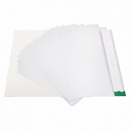 Картон белый А4 МЕЛОВАННЫЙ EXTRA (белый оборот) 20 листов папка, BRAUBERG KIDS, 203х283 мм, 115160