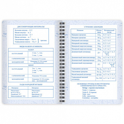 Дневник для музыкальной школы 48 листов, гребень, пластиковая обложка, картон, BRAUBERG, "МИКС", 107519