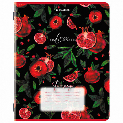 Тетрадь 18 л. BRAUBERG, клетка, обложка картон, ГРАНАТ, 107296
