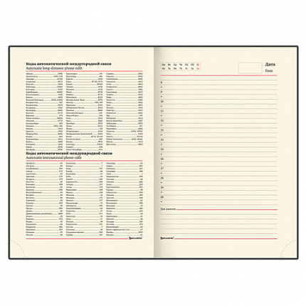 Ежедневник недатированный А5 138х213 мм BRAUBERG "FLAME", под кожу, 160 л., черный, серебряный срез, 113425