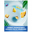 Блок туалетный подвесной твердый 50г ДОМЕСТОС "Сила тропиков", ш/к 37033