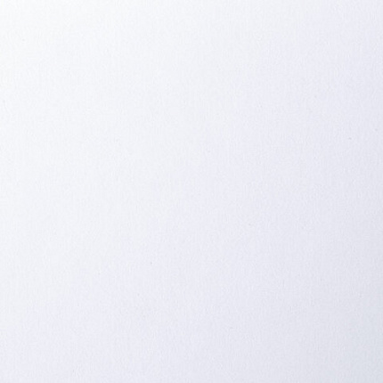 Папка для рисования БОЛЬШОГО ФОРМАТА А3, 20 л., 160 г/м2, BRAUBERG, 297х420 мм, "Орел", 125228