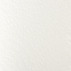 Полотенца бумажные бытовые, спайка 2 шт., 2-х слойные, (2х30 м), LAIMA, 22х23 см, белые, 128726