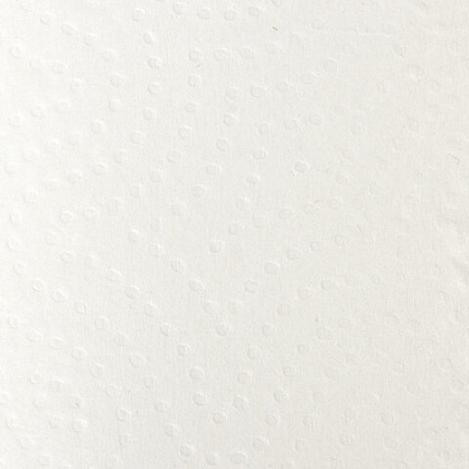 Полотенца бумажные бытовые, спайка 2 шт., 2-х слойные, (2х30 м), LAIMA, 22х23 см, белые, 128726