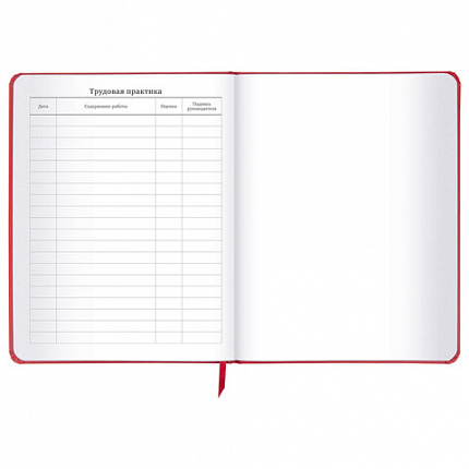 Дневник 1-11 класс 48 л., кожзам (твердая), шелкография, BRAUBERG, "Anime", 106225