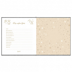 Фотоальбом-анкета детский 23х25 см, 32 листа, стикеры, открытка, конверт, серый бархат, BRAUBERG, 391422