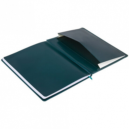 Дневник 1-11 класс 48 л., кожзам (твердая), печать, резинка, конверт, BRAUBERG, "Bright Lion", 106577