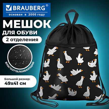 Мешок для обуви BRAUBERG БОЛЬШОЙ, с ручкой, карман на молнии, сетка, 49х41 см, "Crazy geese", 274638