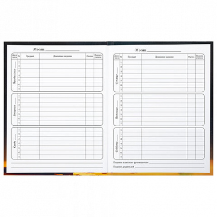 Дневник 1-4 класс 48 л., твердый, BRAUBERG, глянцевая ламинация, с подсказом, "Милый котик", 106835