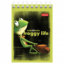 Блокнот МАЛЫЙ ФОРМАТ А7, 40 л., гребень, картон, клетка, HATBER, "Лягух Кир", 081184, 40Б7В1гр