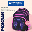 Рюкзак BRAUBERG PROFI, 2 отделения, с брелком, "Одинокий котик", 36х27х19 см, 274415