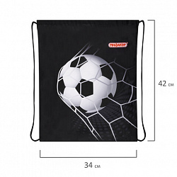 Мешок для обуви ПИФАГОР, 1 отделение, 42х34 см, "Ball kick", 272386