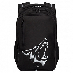 Рюкзак GRIZZLY школьный, анатомическая спинка, 3 отделения, для мальчиков, "ANGER", 42х31х22 см, RU-538-4/1