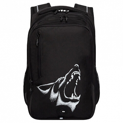 Рюкзак GRIZZLY школьный, анатомическая спинка, 3 отделения, для мальчиков, "ANGER", 42х31х22 см, RU-538-4/1