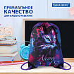 Мешок для обуви BRAUBERG PREMIUM, карман, подкладка, светоотражайка, 43х33 см, "Neon cat", 271621