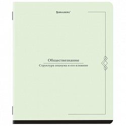 Тетради предметные, КОМПЛЕКТ 12 ПРЕДМЕТОВ, 48 л., SoftTouch, BRAUBERG "VINTAGE", 405183