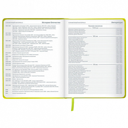 Дневник 1-11 класс 48 л., кожзам (твердая с поролоном), тиснение аппликация, BRAUBERG, "Super Avo", 106205
