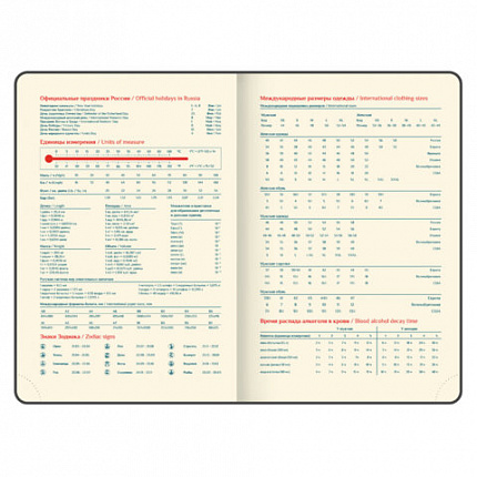 Ежедневник датированный 2026 А5 148х218 мм, GALANT "Infinity Silver", под кожу, серый, 117499