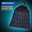 Мешок для обуви BRAUBERG БОЛЬШОЙ, с ручкой, карман на молнии, сетка, 49х41 см, "Неоновые коты", 271059
